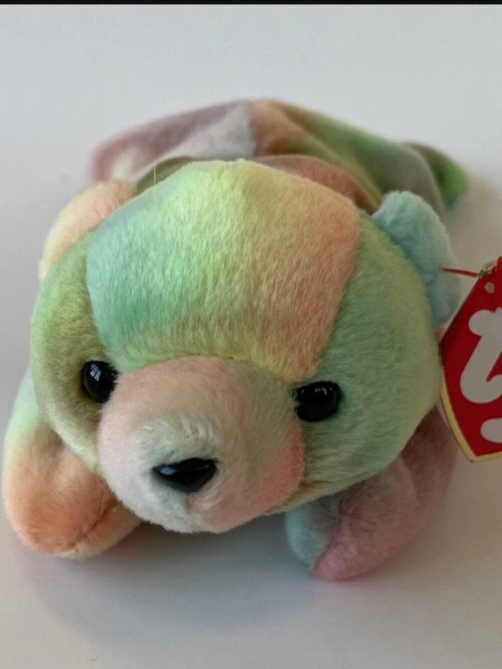 Beanie Baby - Sammy